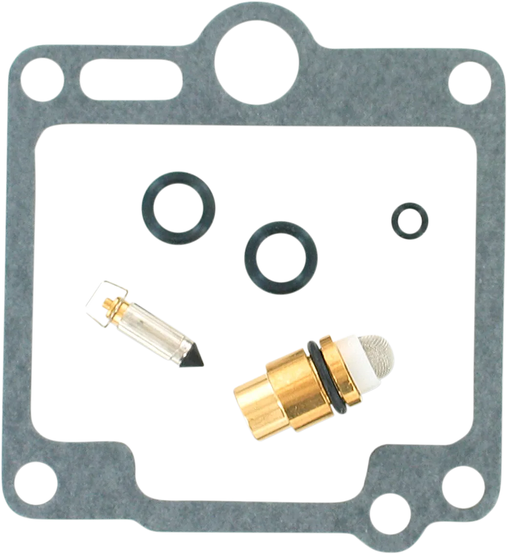 Carburetor Repair Kit