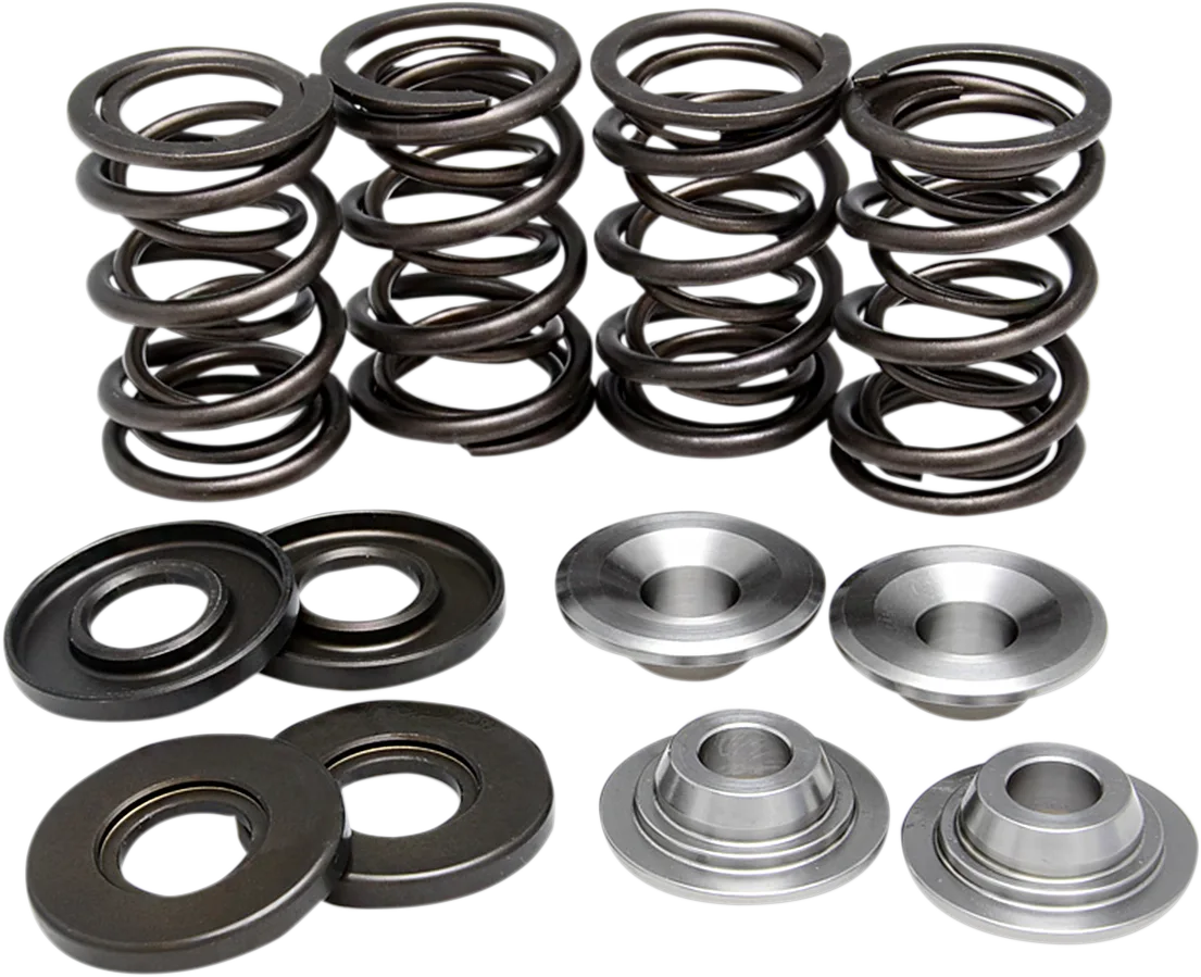Valve Spring Kit