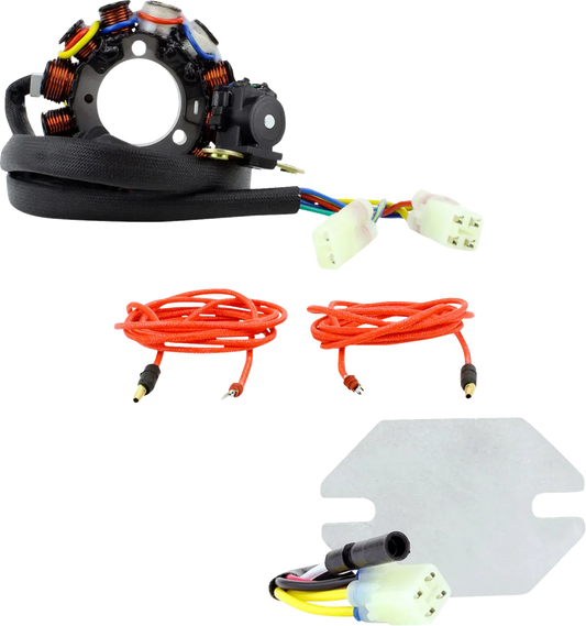 Stator and Regulator Kit