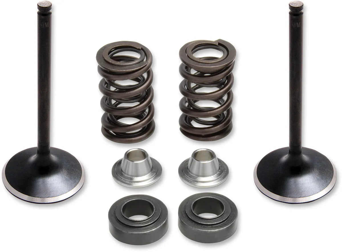 Intake Stainless Conversion Valve and Spring Kit