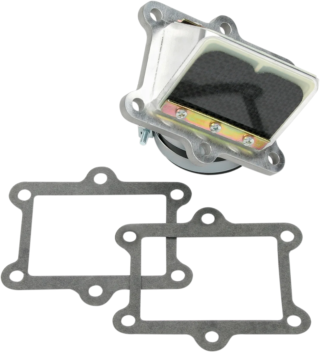 Rad Valve Reed Cage Assembly