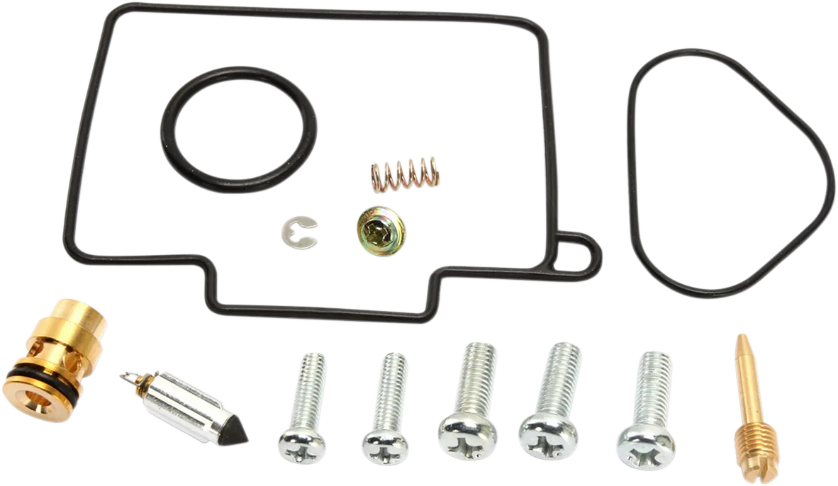 Carburetor Repair Kit