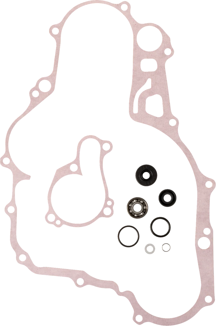 Water Pump Rebuild Kit
