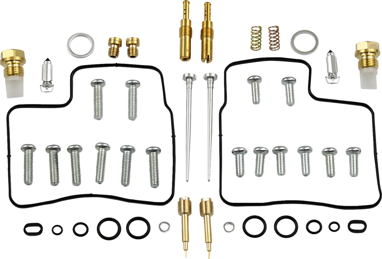 Carburetor Repair Kit