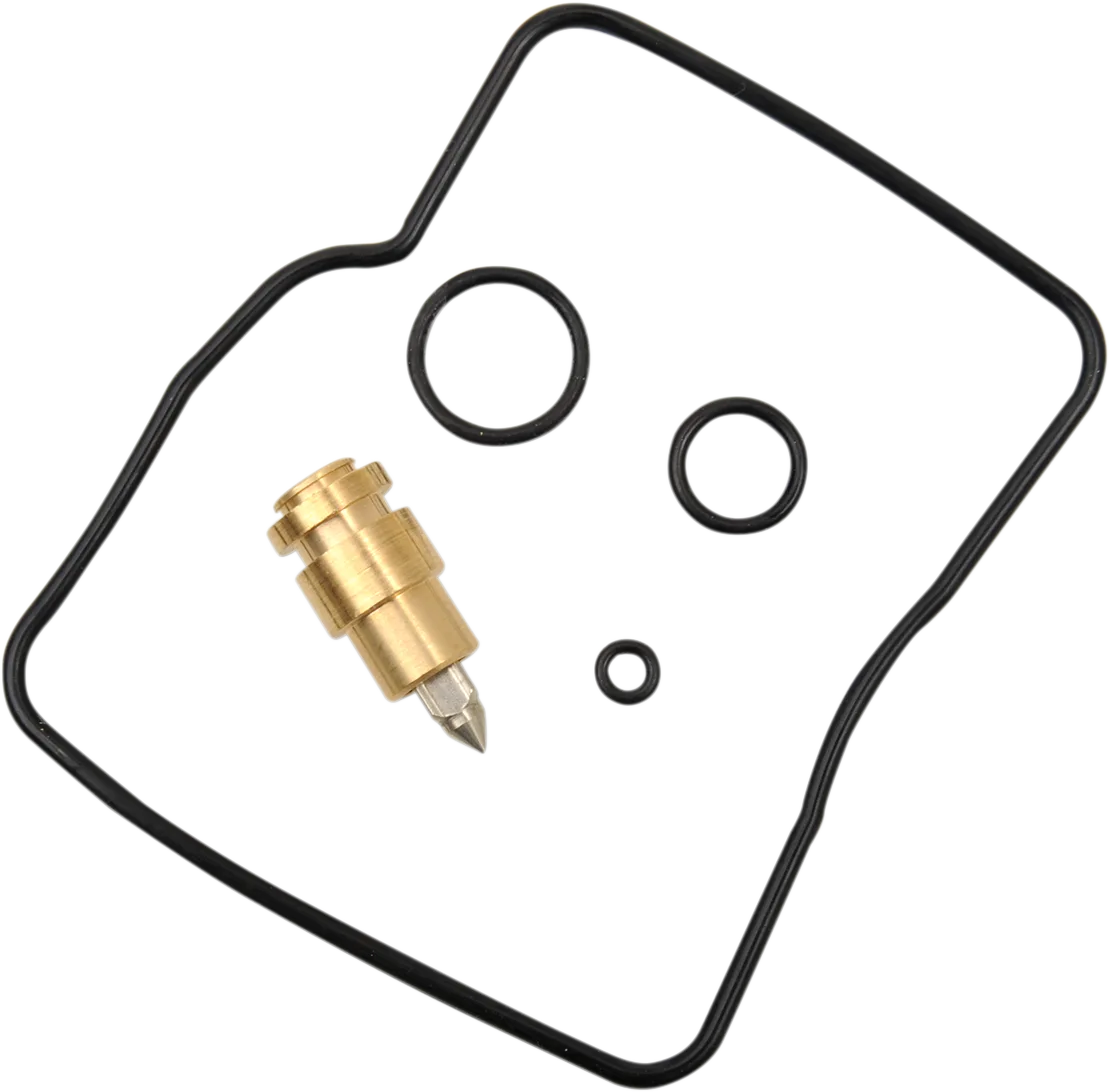 Carburetor Repair Kit