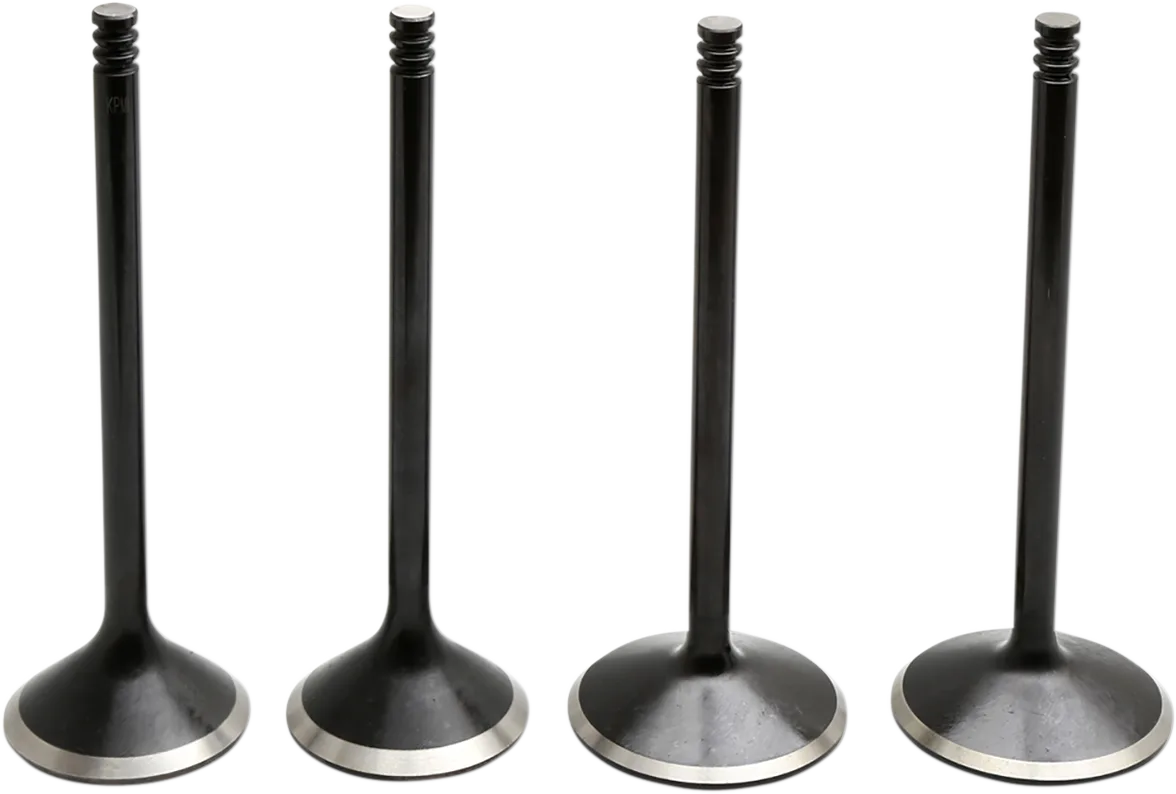 Black Diamond™ Engine Valve Kit