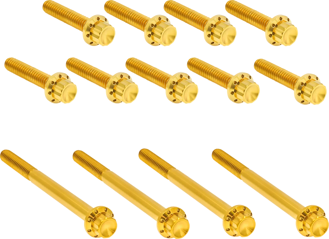 Outer Primary Cover Titanium 12-Point Bolt Kit