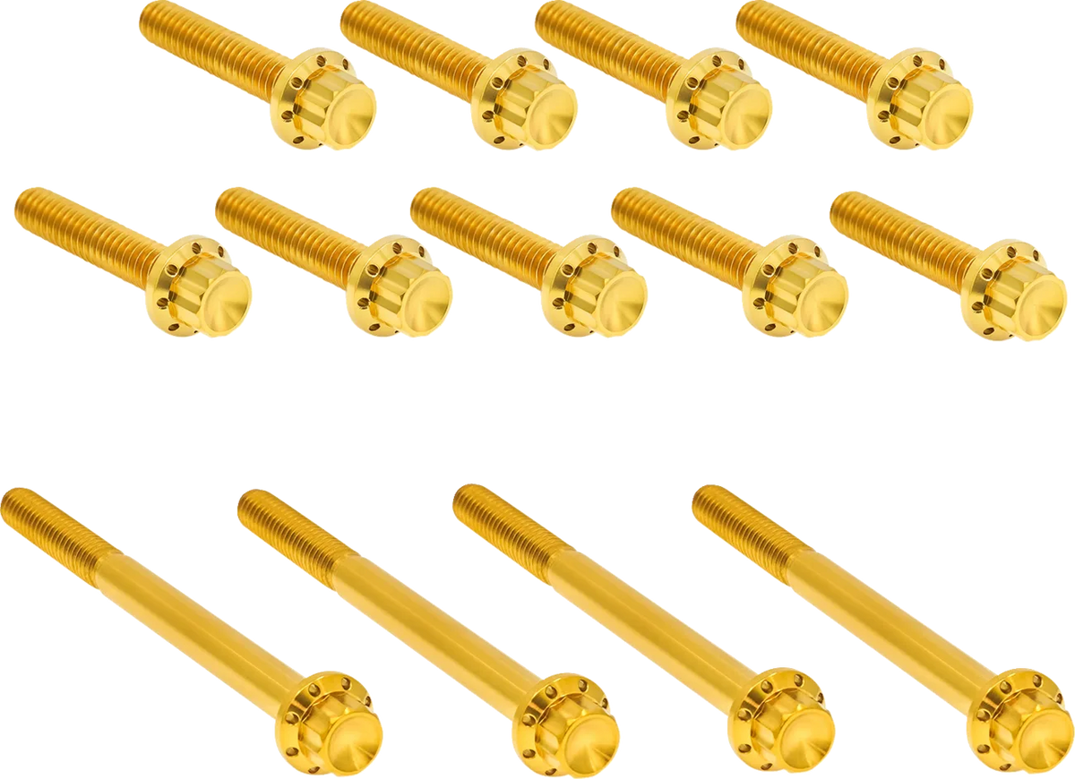 Outer Primary Cover Titanium 12-Point Bolt Kit