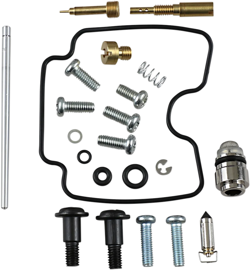 Carburetor Repair Kit