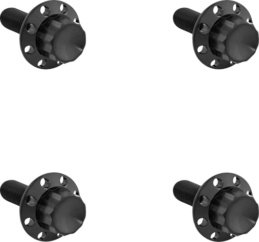 Titanium 12-Point Windshield Bolts