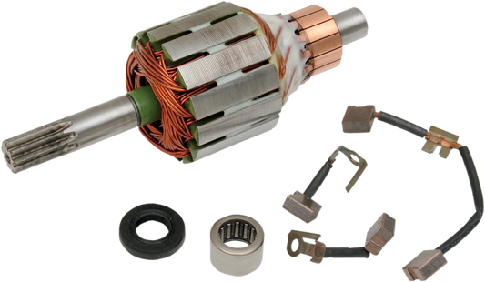 Starter Rebuild Kit