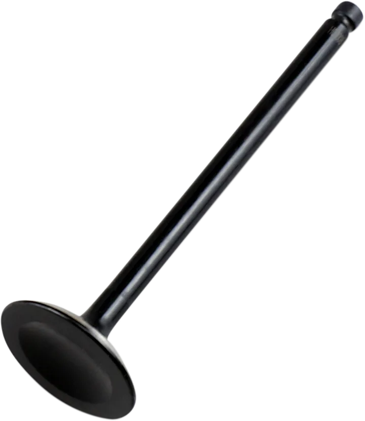 Replacement Valve