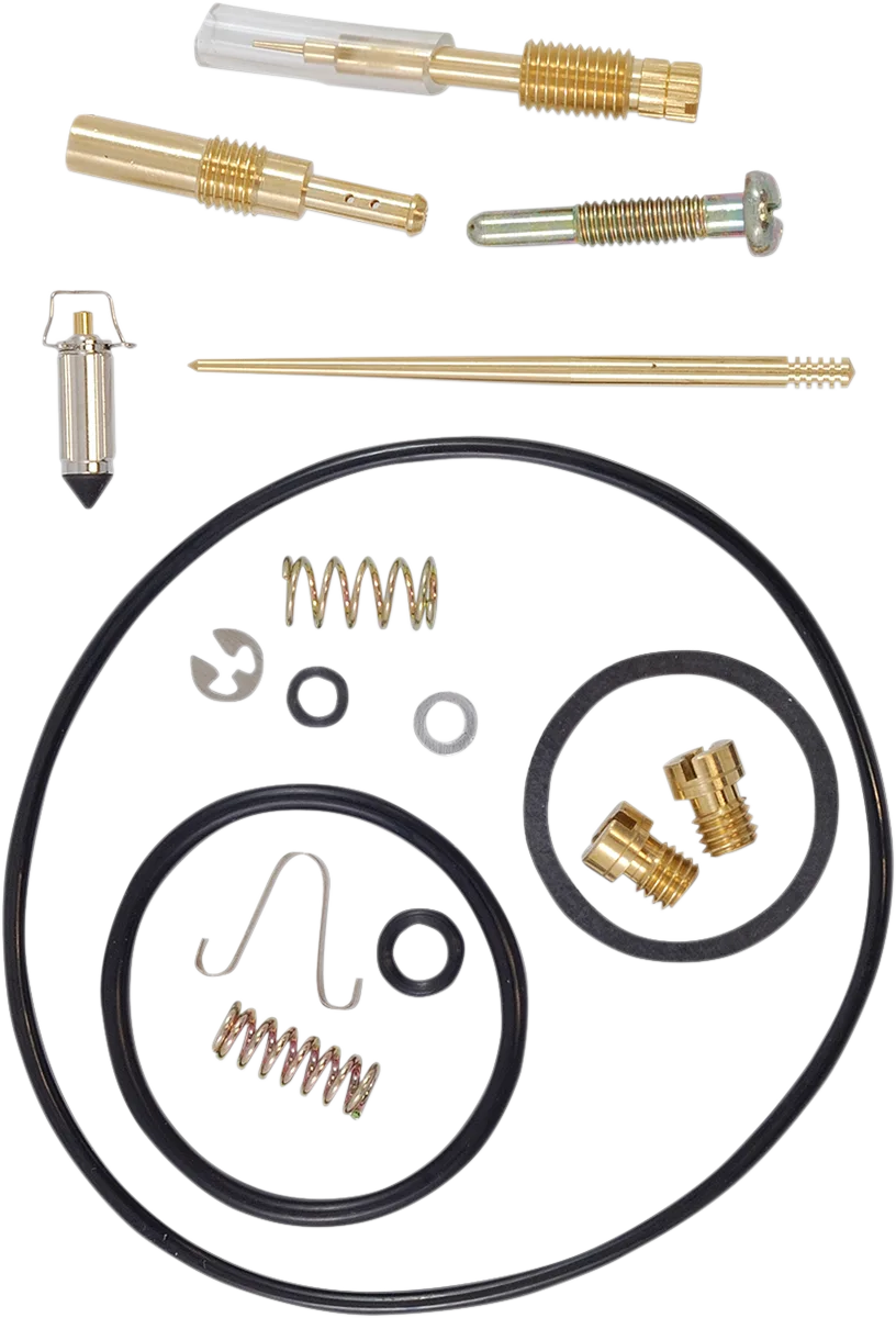 Carburetor Repair Kit