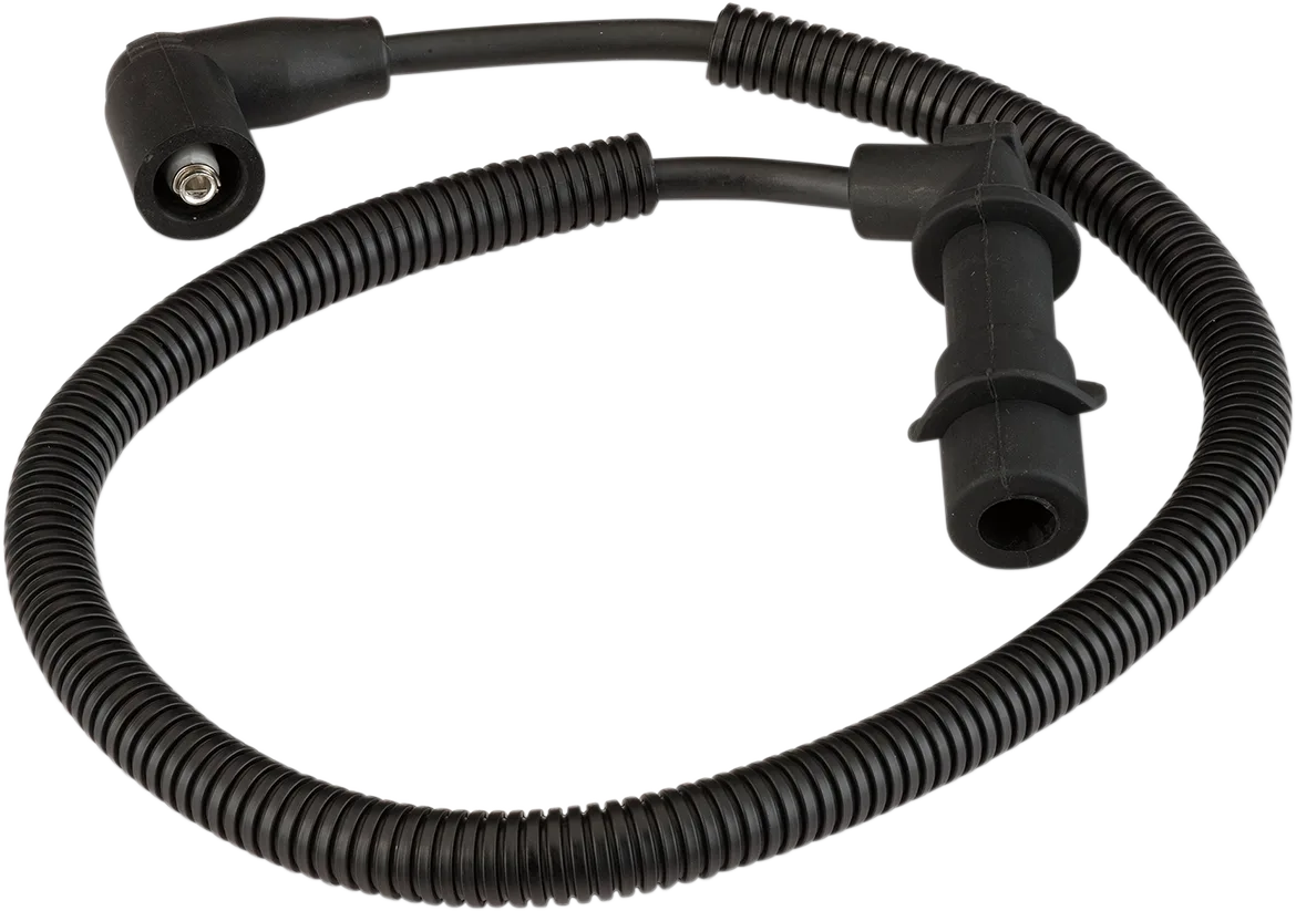 Spark Plug Wire/Cap