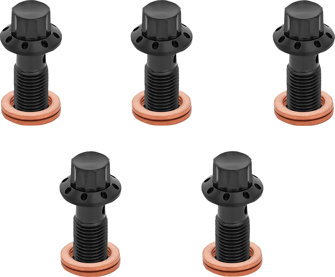 12-Point Titanium Banjo Bolts