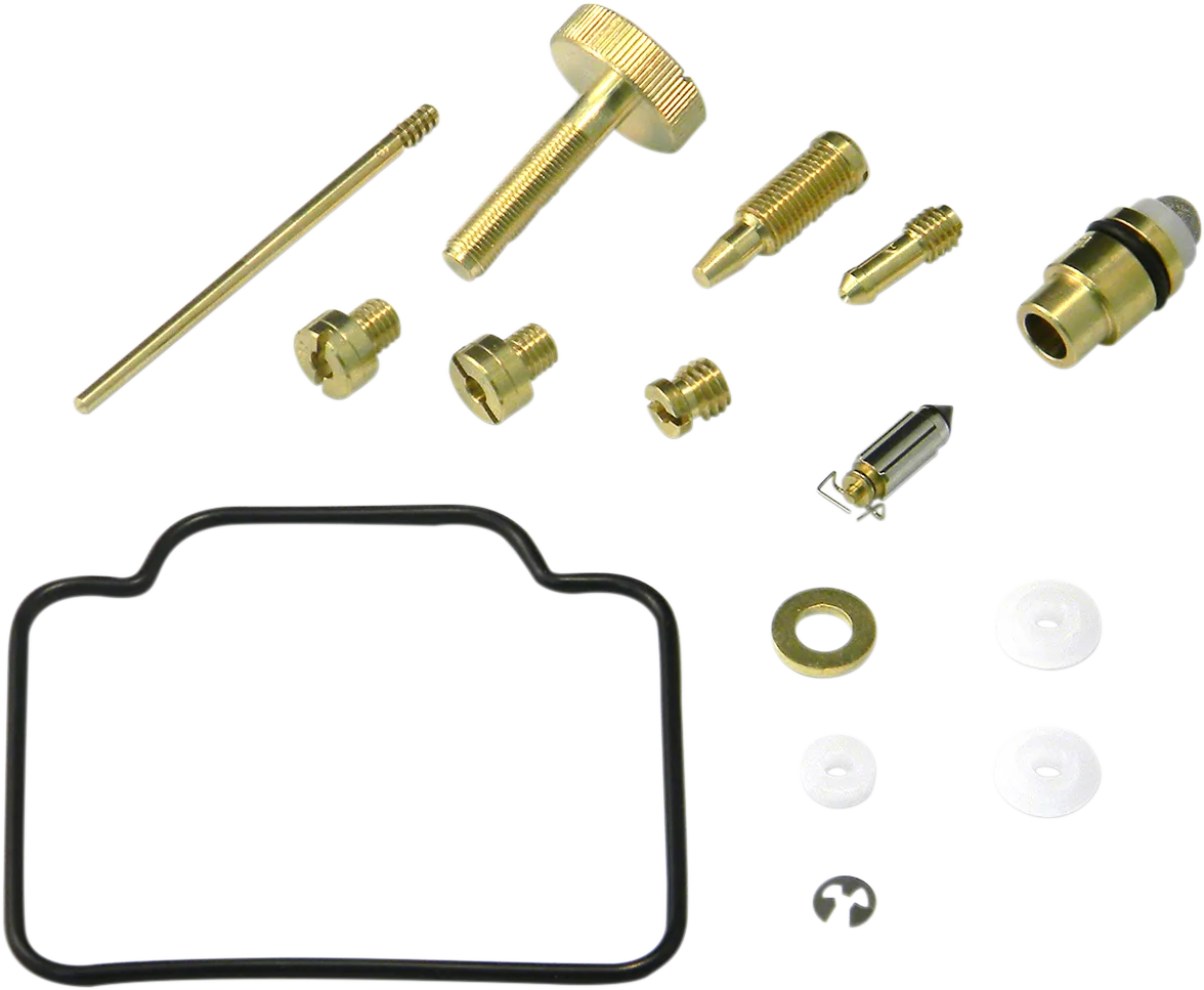 Carburetor Repair Kit