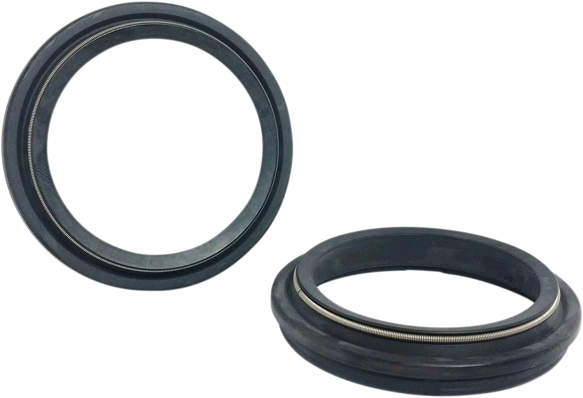 Dust Seal