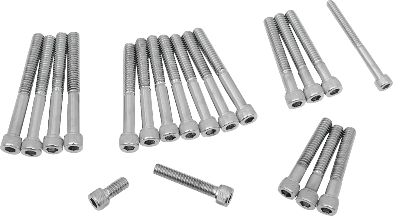 Cam/Primary Cover Bolt Set