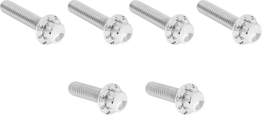 Transmission Side Cover Titanium 12-Point Bolt Kit