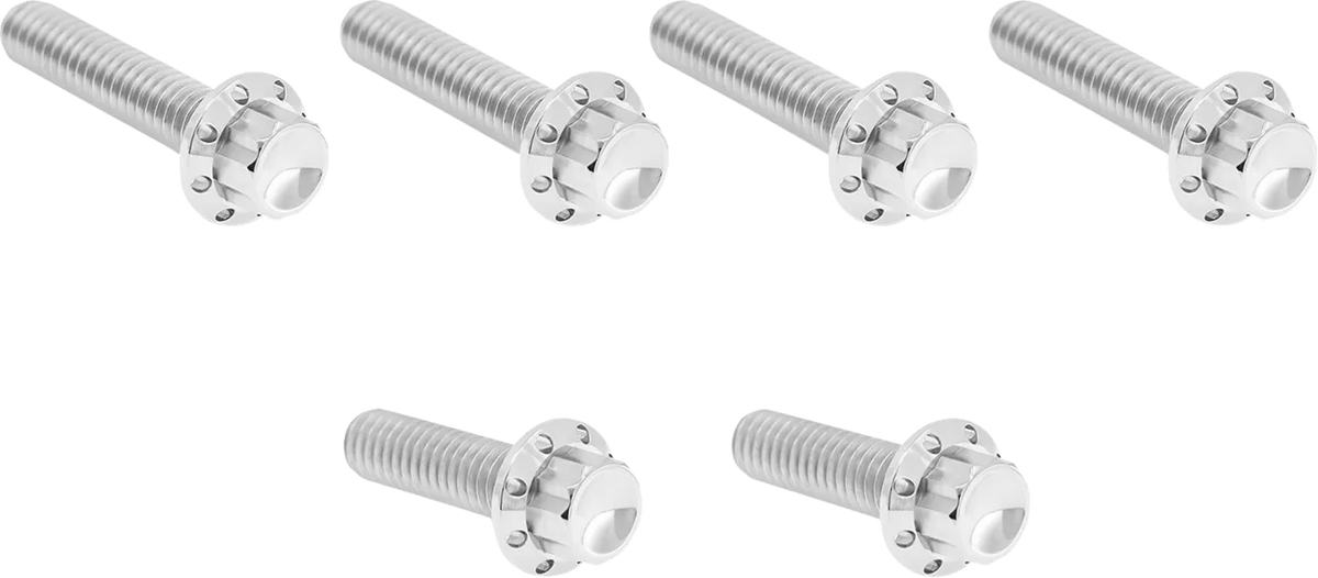 Transmission Side Cover Titanium 12-Point Bolt Kit