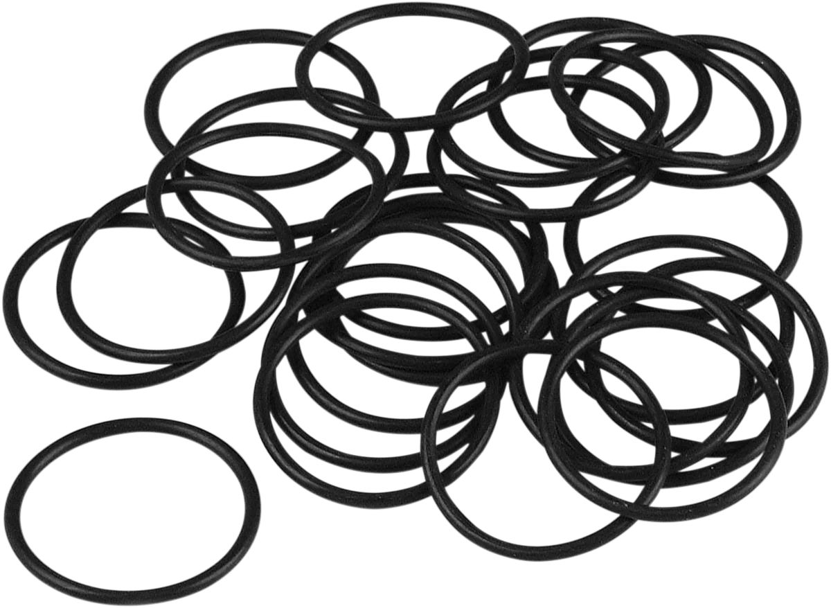 Primary Filler Cap O-Ring