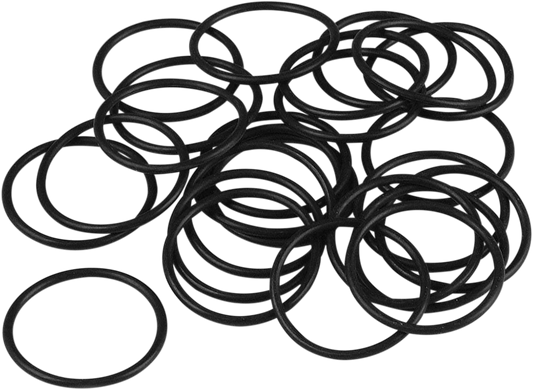 Primary Filler Cap O-Ring