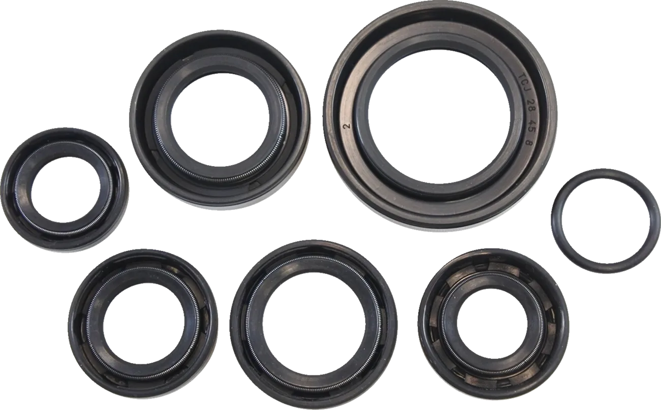Oil Seal Kit