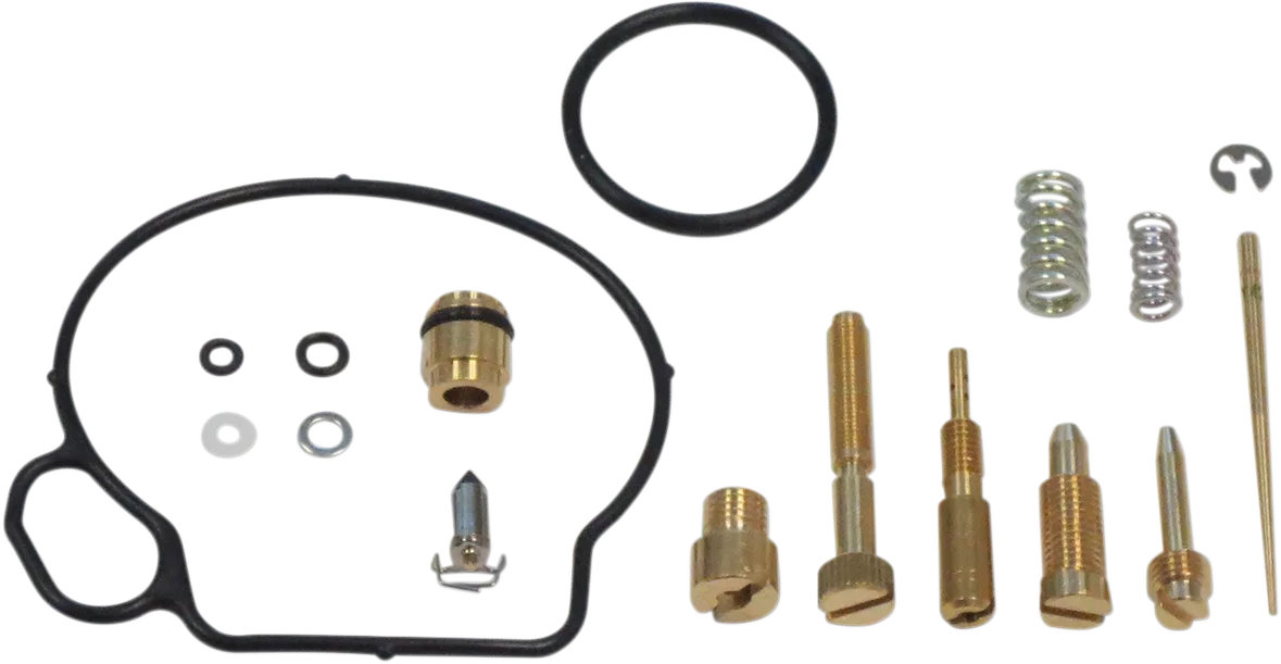 Carburetor Repair Kit