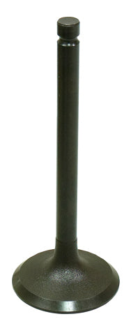 Intake Valve