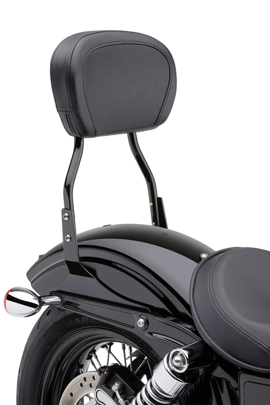 Round Sissy Bar