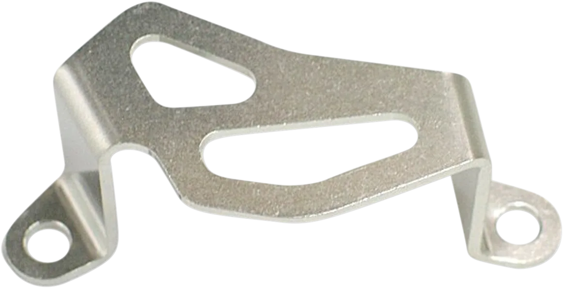 Aluminum Rear Caliper Guard
