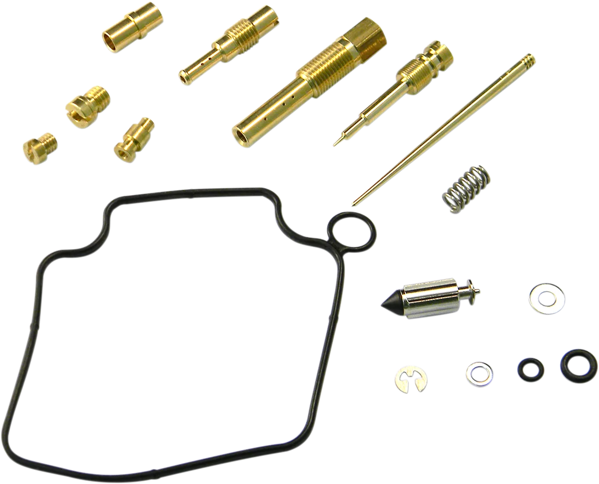 Carburetor Repair Kit
