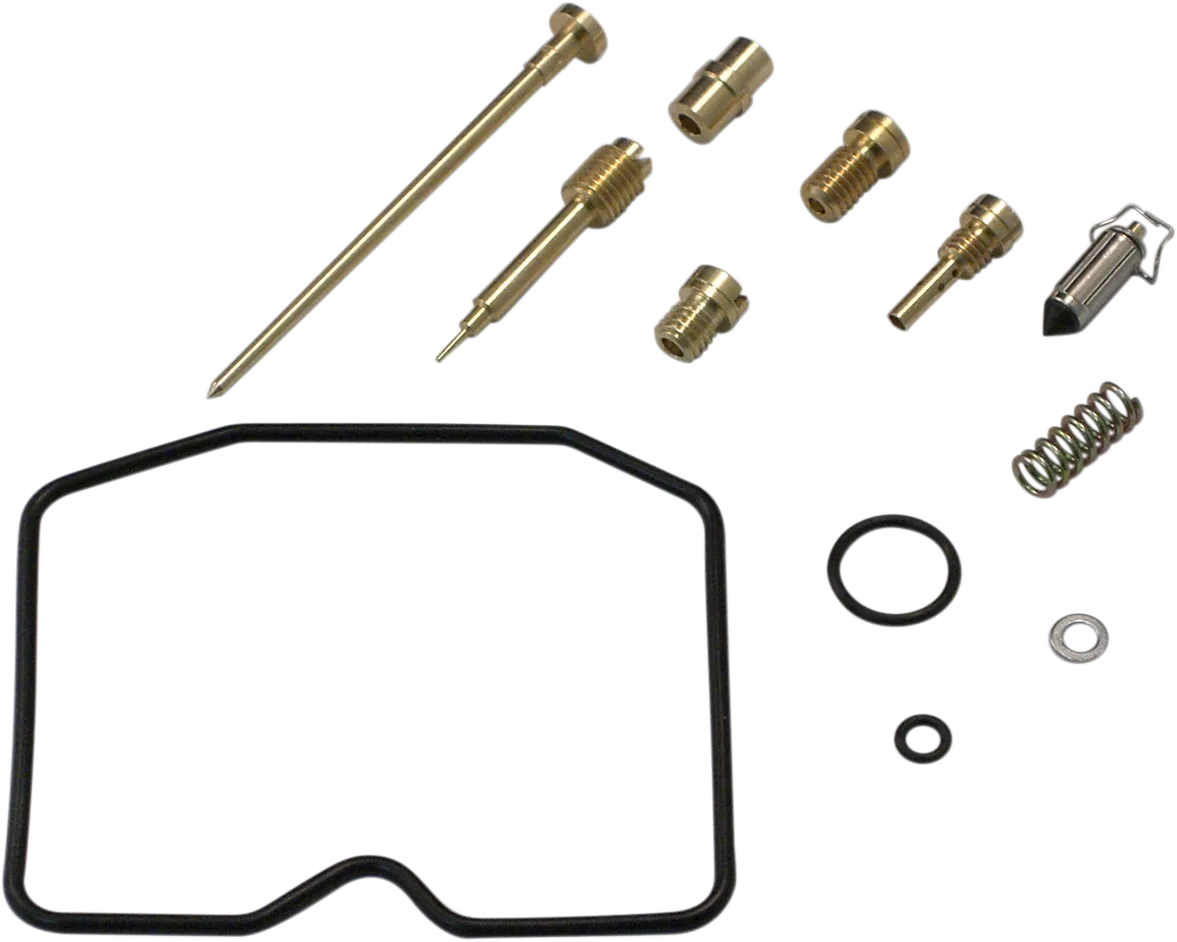 Carburetor Repair Kit