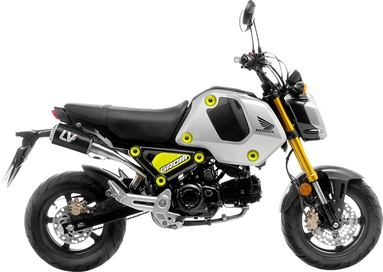 LV-10 Exhaust System