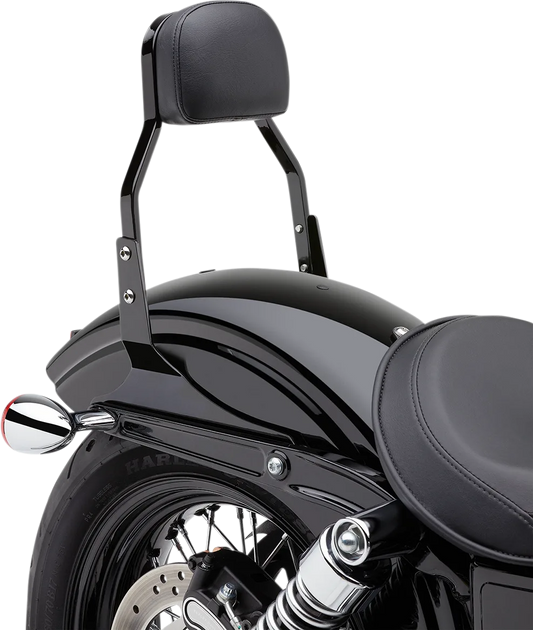 Square Sissy Bar