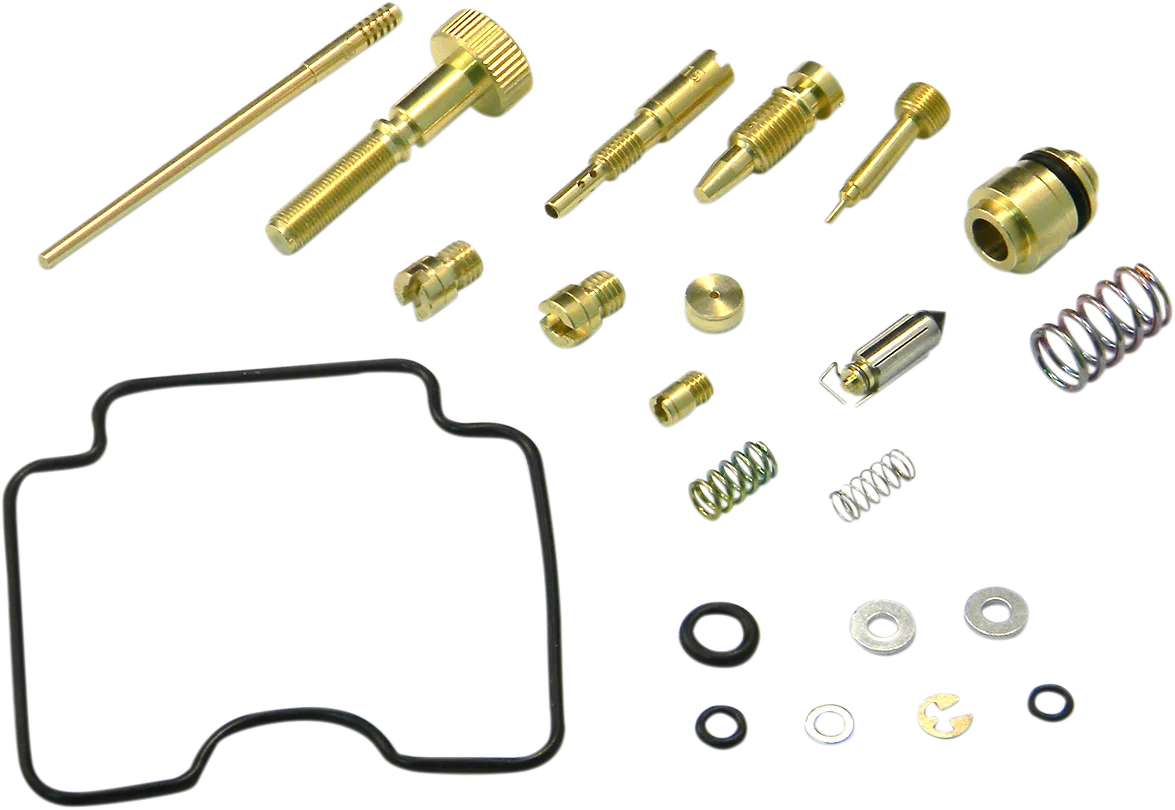 Carburetor Repair Kit