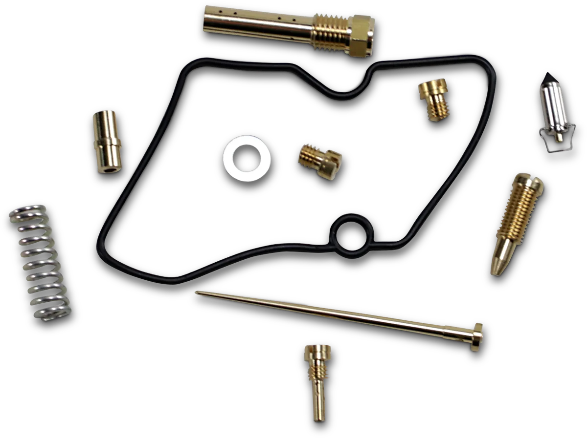 Carburetor Repair Kit