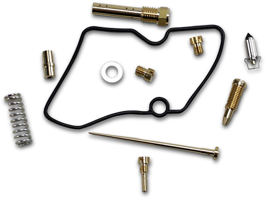 Carburetor Repair Kit
