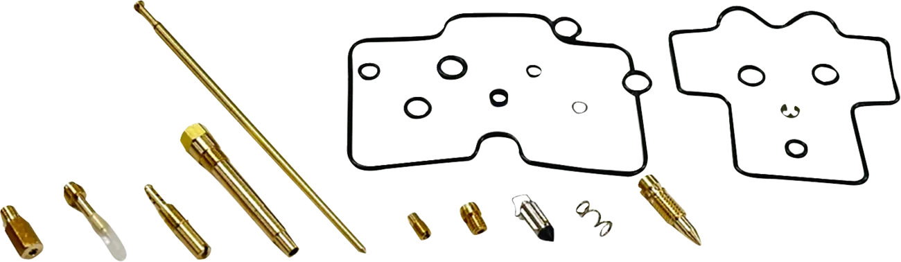 Carburetor Repair Kit