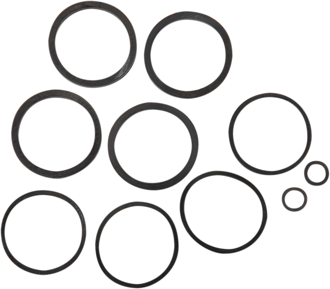 Caliper Seal Kit