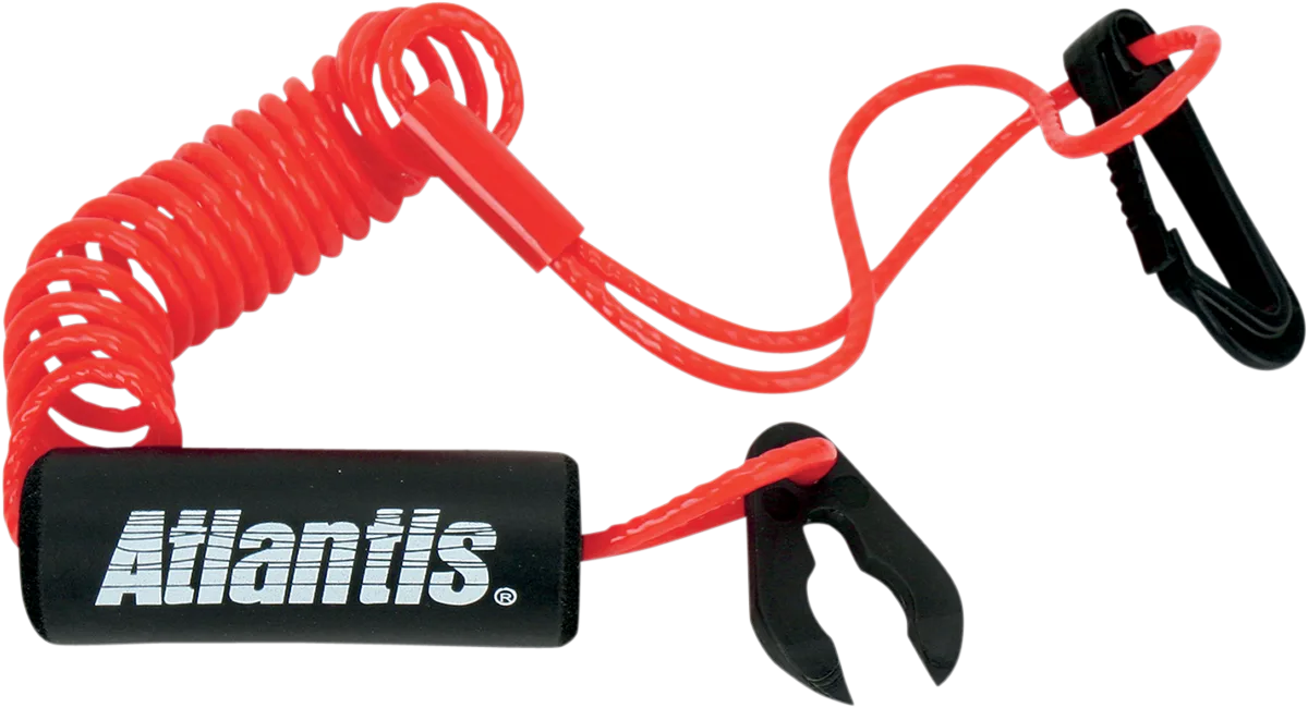 Lanyard