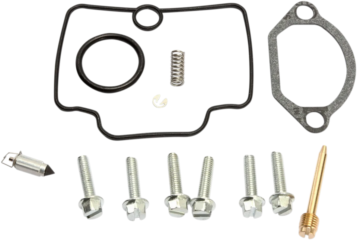 Carburetor Repair Kit
