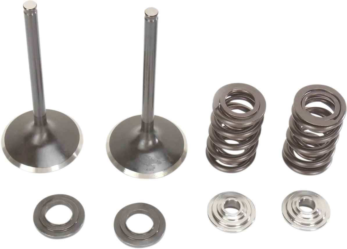 Intake Valve and Spring Kit