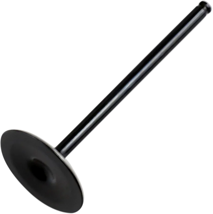 Replacement Valve