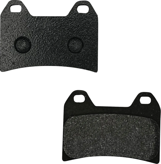 Carbon Race Brake Pads