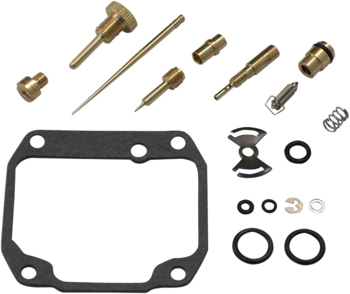 Carburetor Repair Kit