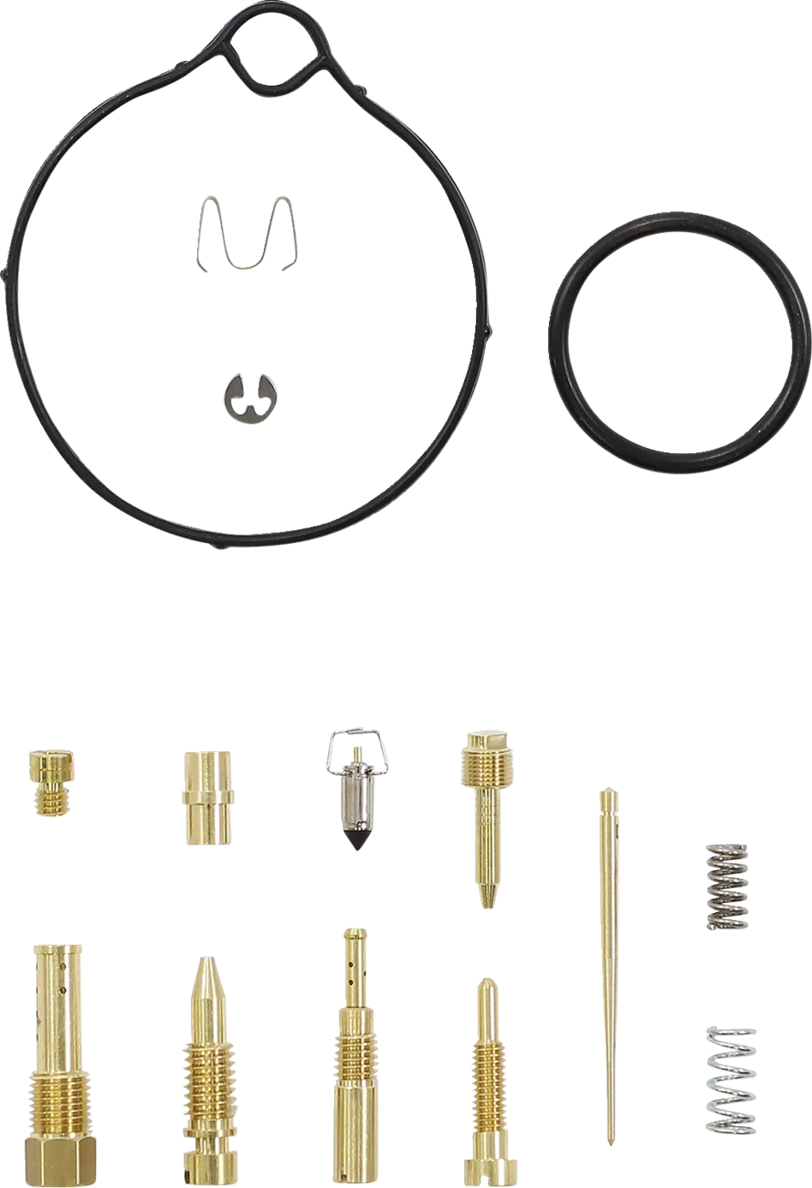 Carburetor Repair Kit