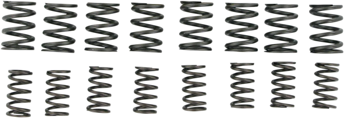 Valve Springs