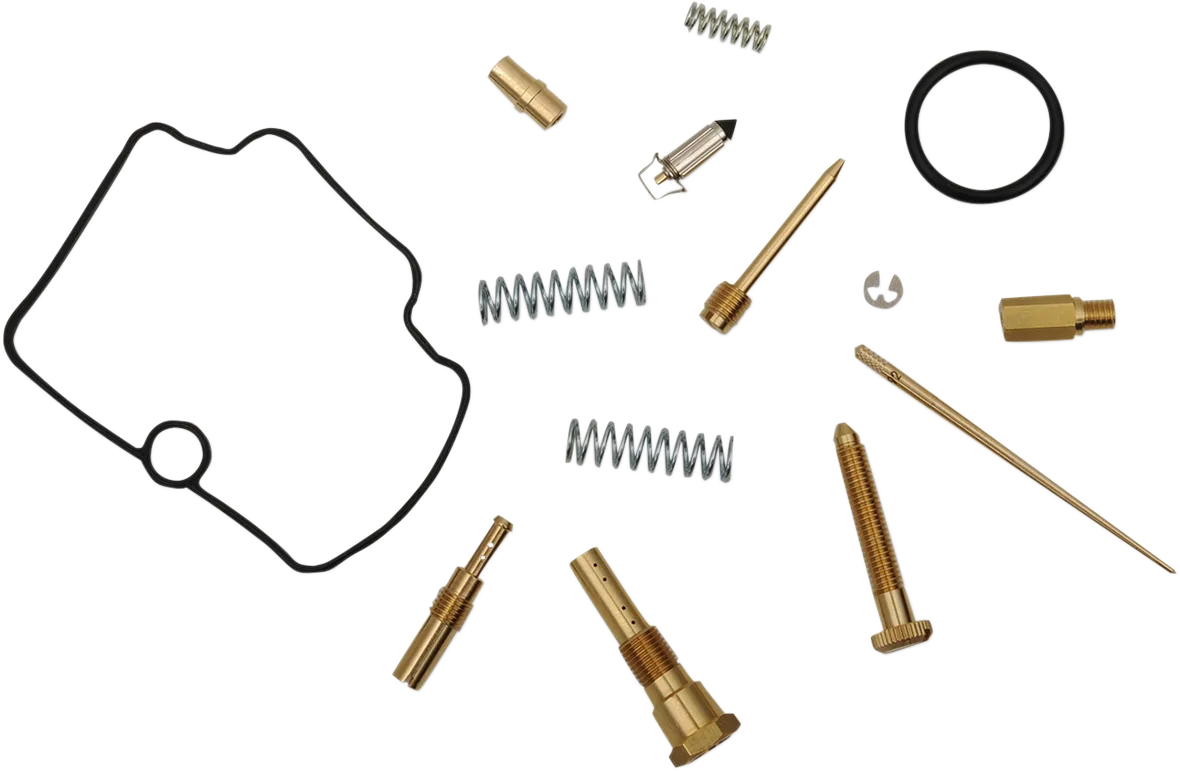 Carburetor Repair Kit