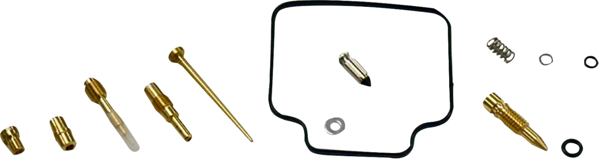 Carburetor Repair Kit